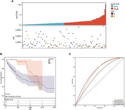 Development and Validation of a Novel Mitochondrion and Ferroptosis-Related Long Non-Coding RNA Prognostic Signature in Hepatocellular Carcinoma